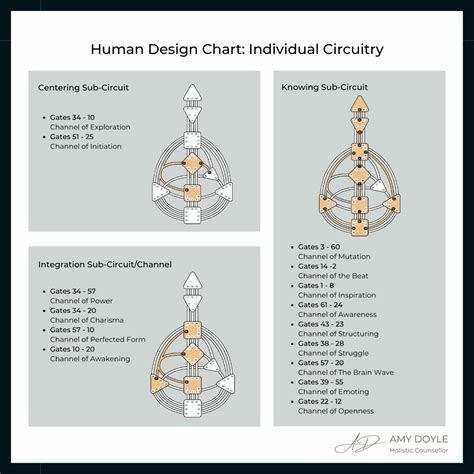 How To Read Your Human Design Circuits Amy Doyle