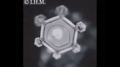 Dr Masaru Emoto S Consciousness Experiment Water And Frequency Youtube