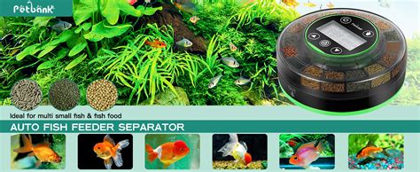 Amazon Petbank Automatic Fish Feeder For Aquarium Moisture