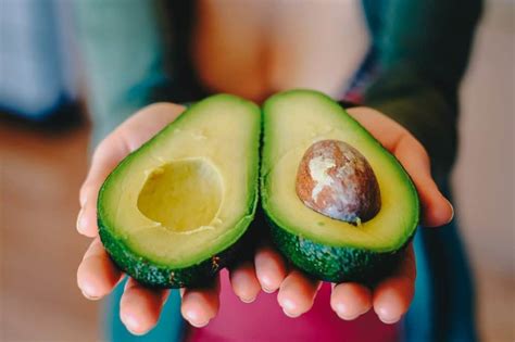 50 Important Avocado Facts You Must Know Immediately