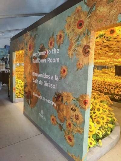 Van Gogh Sunflower Exhibition 🌻 Tumbex