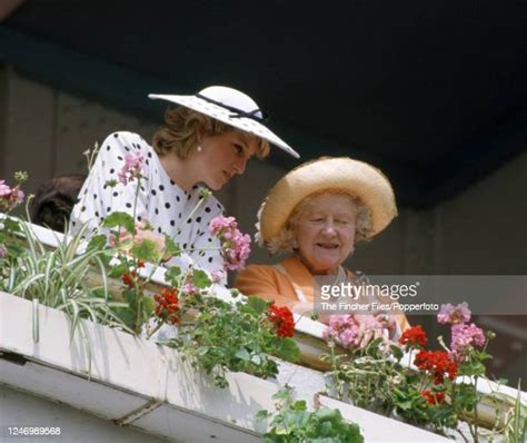 132 Balcony Flower Boxes Stock Photos High Res Pictures And Images