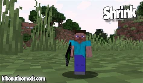 Shrink Mod For Minecraft 1 18 2