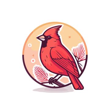 Red Cardinal Bird PNG Transparent Images Free Download | Vector Files | Pngtree