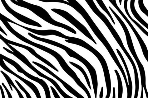 Zebra Print Background Graphic By Jerin505 · Creative Fabrica