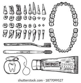 Hand Drawing Lineart Engraving Dental Cleaning Stock Illustration