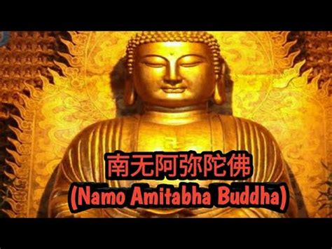 南无阿弥陀佛 Namo Amitabha Buddha Namo Amituofo YouTube