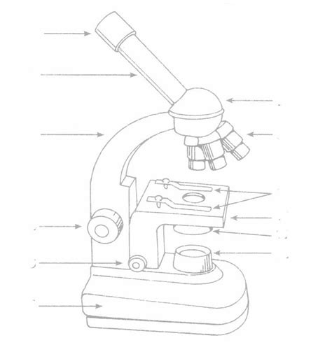 Microscope-Parts-Quiz copy | Life science lessons, Preschool science ...