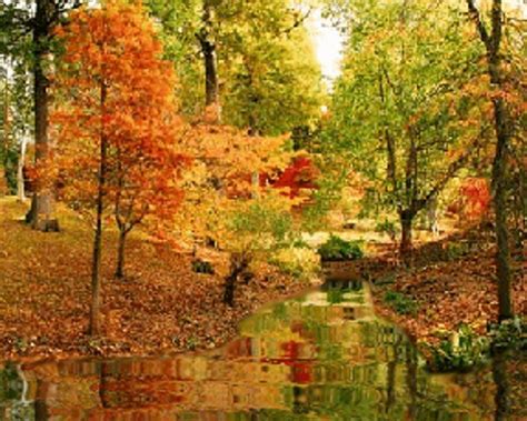 Autumn Creek Wallpapers Top Free Autumn Creek Backgrounds