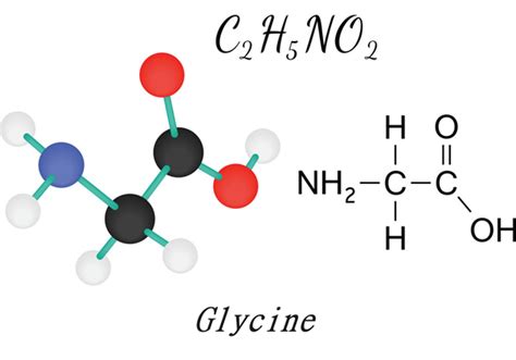 Glycine Dietary Sources Supplements And Benefitschemicalbook