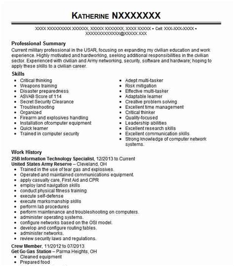 B Information Technology Specialist Resume Example