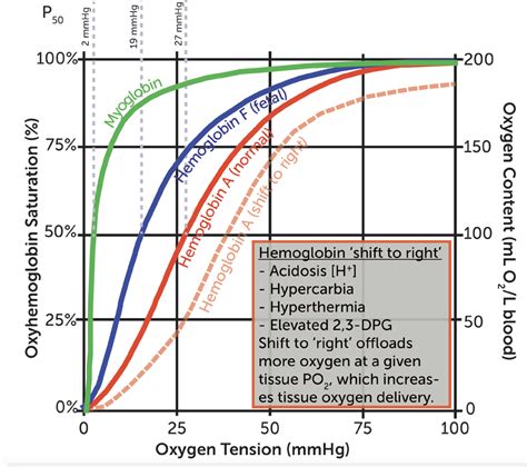 O2 And Co2 Transport And Metabolism Online Supplement