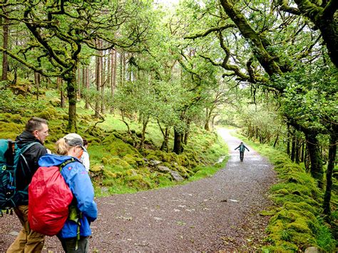 Kerry Mountains Guided Hiking Tour, Ireland - 10Adventures