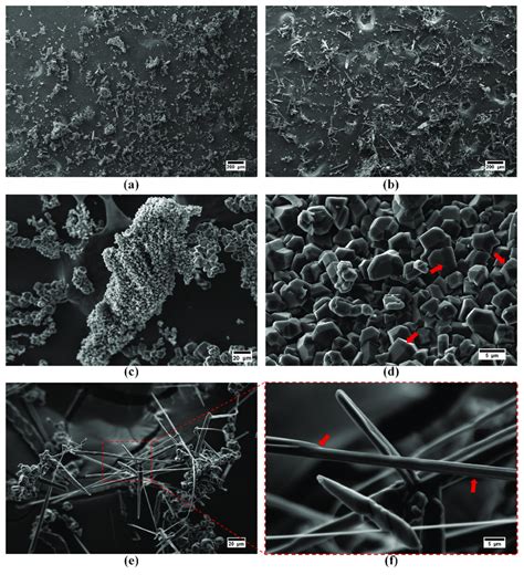 Sem Images Of The Boron Carbide As Synthesized Powders Derived From