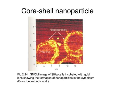 Ppt Core Shell Nanoparticle Powerpoint Presentation Free Download