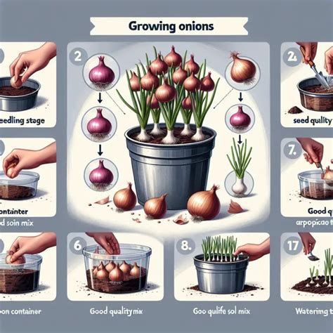 A Guide To Growing Onions In Containers For Beginners Enjoy Container