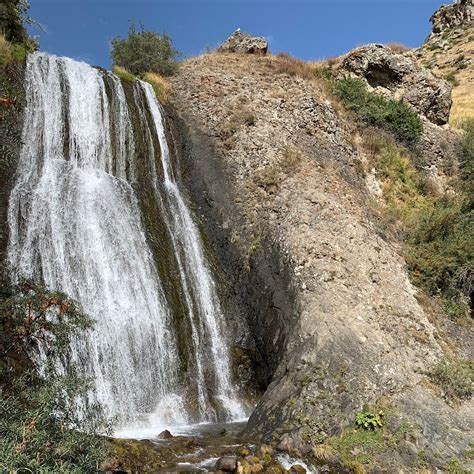 Arsha, Georgia 2024: All You Need to Know Before You Go - Tripadvisor