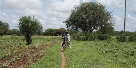 Kenya Looks To Genetically Modified Maize To Combat Food Crisis