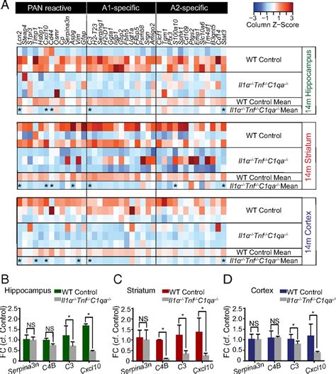 Normal Aging Induces A Like Astrocyte Reactivity Pnas