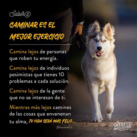 Top Imagen Frases Para Mi Perro Fallecido Viaterra Mx