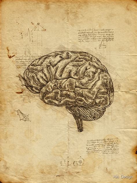 Pegatina Anatomía del cerebro humano cerebro anatómico en el cuaderno