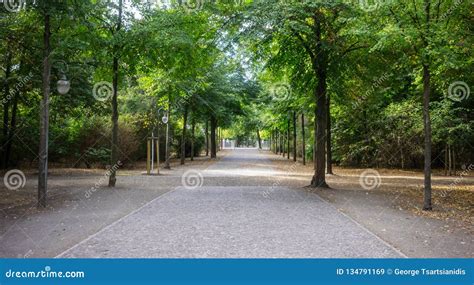 Tiergarten Park In Berlin Germany Autumn With Falling Leaves And