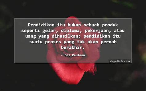 Kata Kata Pendidikan Newstempo