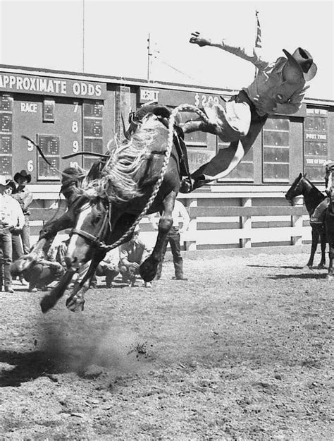 Historical Rodeo Photos Rodeo Life Rodeo Bull Riders