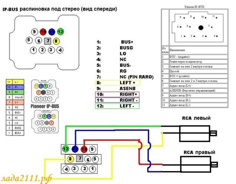 Ip Bus Pioneer