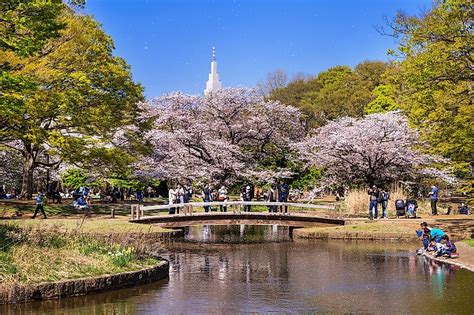 Yoyogi Park - WorldAtlas
