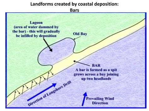 Understanding The Tidal Lagoon A Visual Guide