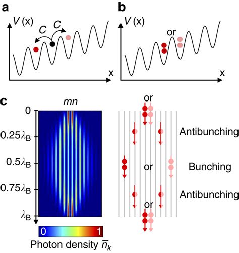 Quantum Bloch Oscillator A Bloch Oscillations Of A Single Particle