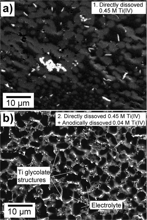 Sem Images Illustrating The Surface Morphology Of The Electrolyte Film