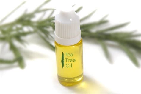 Tea Tree Oil Come Usare L Olio Essenziale Miracoloso