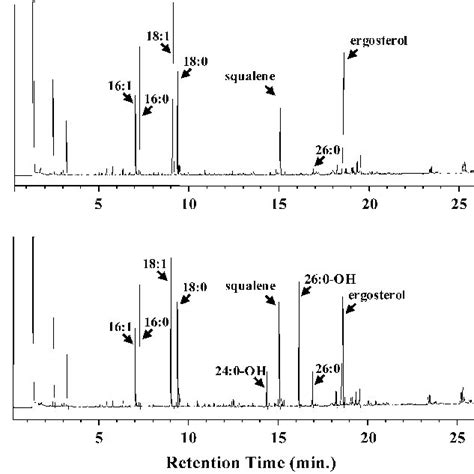Epicuticular wax crystal formation on Arabidopsis stem surfaces ... 