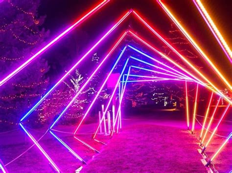 Calgary Zoolights