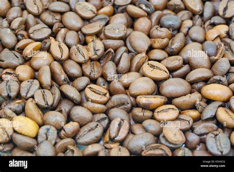 Braune Bohnen Fotograf As E Im Genes De Alta Resoluci N Alamy