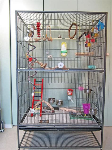 30 Bird Cage Set Up Ideas HomeDecorish