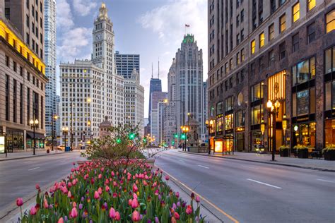 Chicago Tulips Best Places To See And Photograph Them