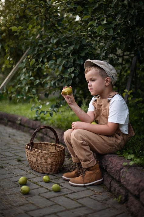 A Boy In A Cap And Beige Overalls Is Harvesting Apples A Small Farmer
