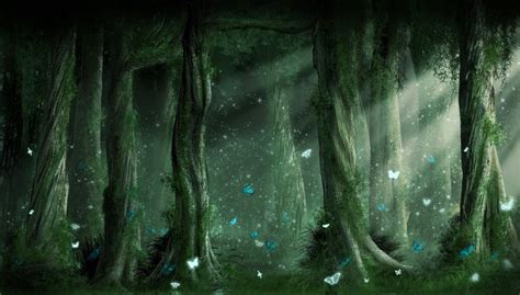 Enchanting Fantasy Forest Hd Wallpaper