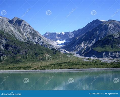 Glacier Bay Alaska Stock Image Image Of Outdoors Forest 10502503