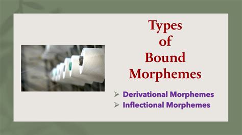 Types Of Bound Morphemes Derivational Morphemes And Inflectional