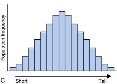 multifactorial inheritance Flashcards | Quizlet