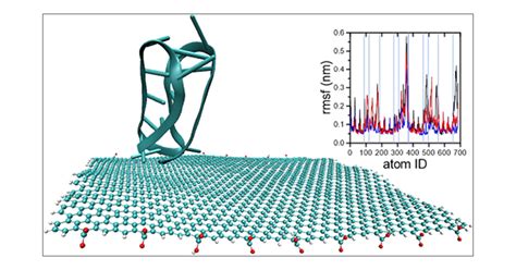 Molecular Dynamics Simulations Of Interactions Between Human Telomeric