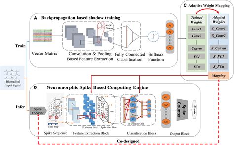 Frontiers Neurocare A Generic Neuromorphic Edge Computing Framework