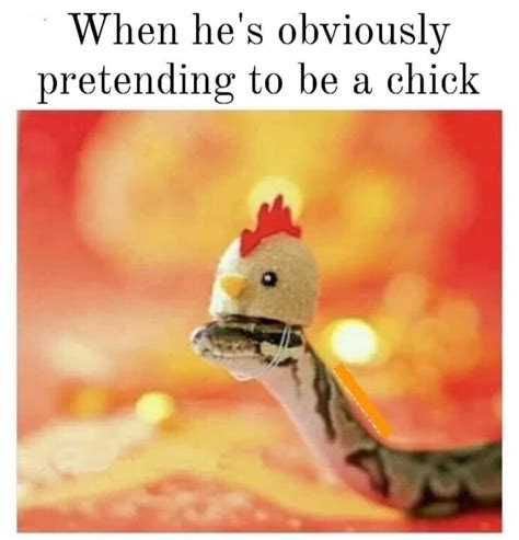 He S A Sneaky Snek R Memes