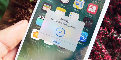 Using AirDrop How To Share Files Wirelessly IOS 11 Guide TapSmart