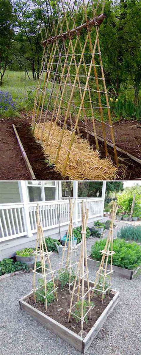 Top 21 Easy And Attractive Diy Projects Using Bamboo Architect Baba