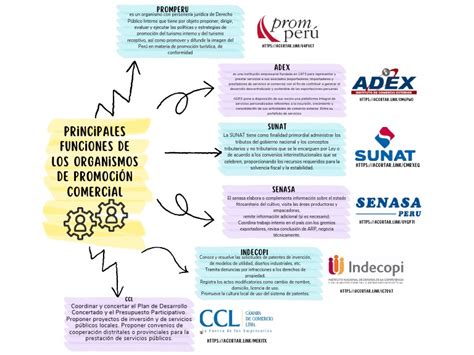 Gráfico Diagrama Cuadro Sinóptico Doodle Creativo Multicolor